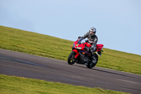 PJ-Motorsport-2019;anglesey-no-limits-trackday;anglesey-photographs;anglesey-trackday-photographs;enduro-digital-images;event-digital-images;eventdigitalimages;no-limits-trackdays;peter-wileman-photography;racing-digital-images;trac-mon;trackday-digital-images;trackday-photos;ty-croes